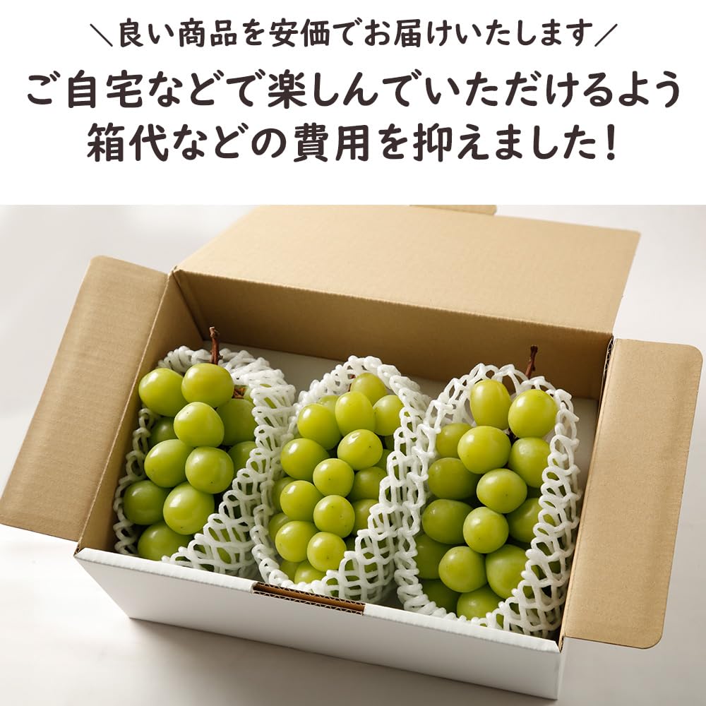 Amazon.co.jp: シャインマスカット マスカット ぶどう 秀品以上 訳あり